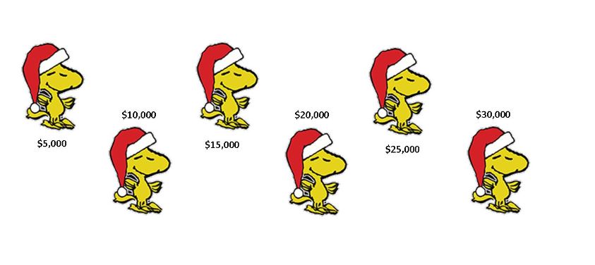 We have raised over $30,000!